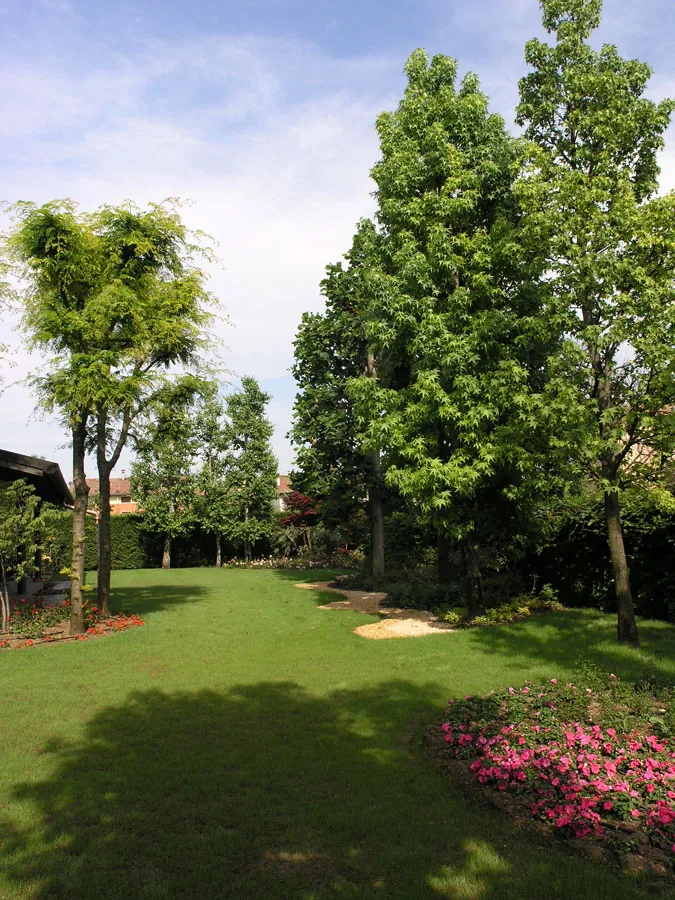 Giardino realizzato da Flornova con prato, alberi ad alto fusto e aiuola di fiori rosa