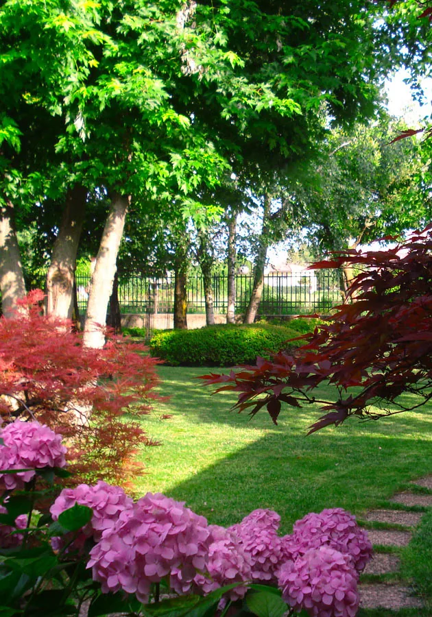 Giardino privato a Brescia con prato, acero giapponese rosso e ortensie rosa