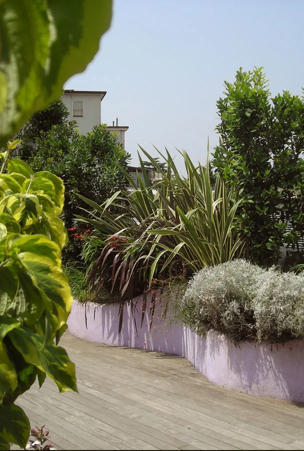 Terrazza con piante realizzata da Flornova: pavimento in legno, fioriera curva e piante ornamentali